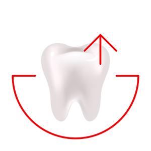 Fortalece los dientes