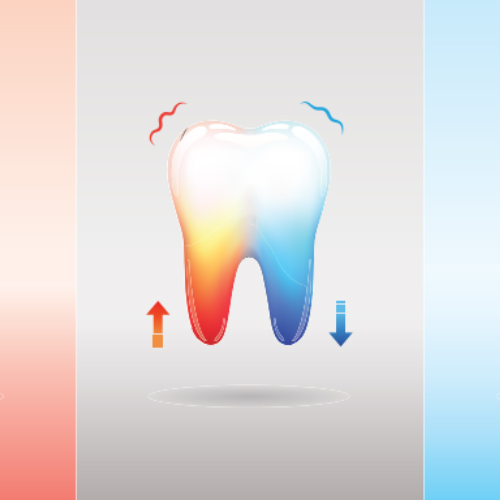 Ilustración de diente sensible al calor y al frío, con flechas y colores rojo y azul