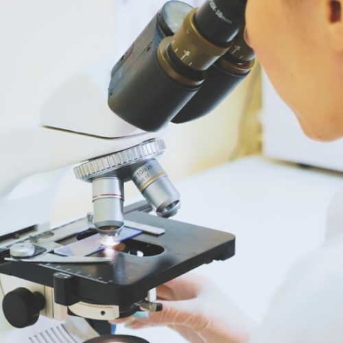 Persona observando muestra de tejido oral en microscopio